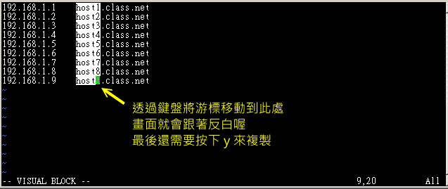 vim 的区块选择、复制、粘贴等操作功能